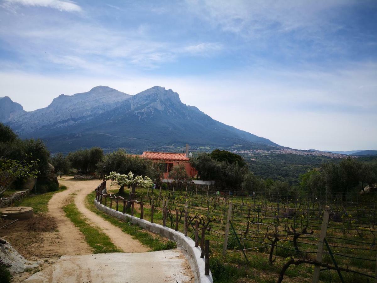 أوليينا Villa L'Oleandro المظهر الخارجي الصورة