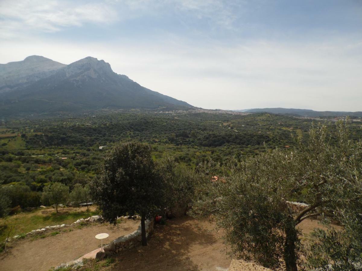 أوليينا Villa L'Oleandro المظهر الخارجي الصورة