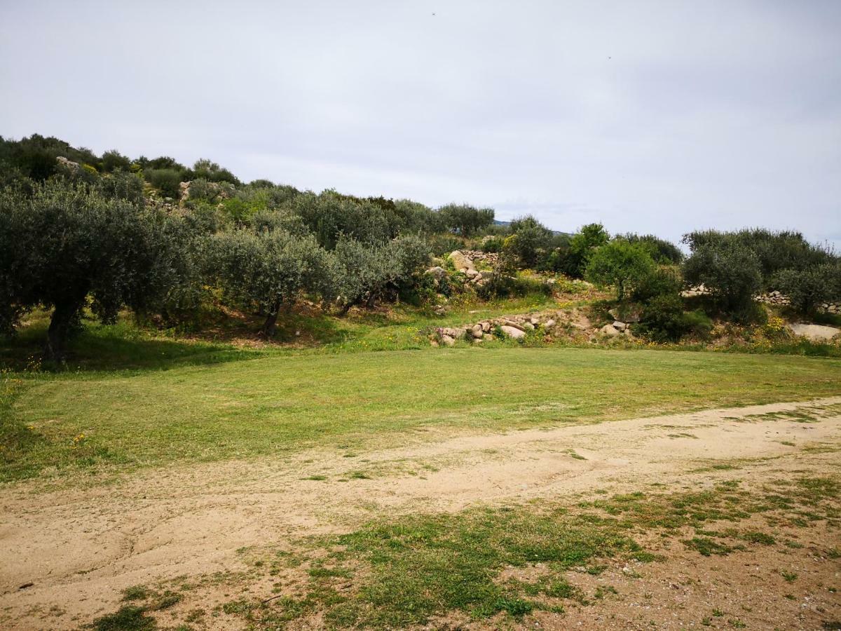 أوليينا Villa L'Oleandro المظهر الخارجي الصورة