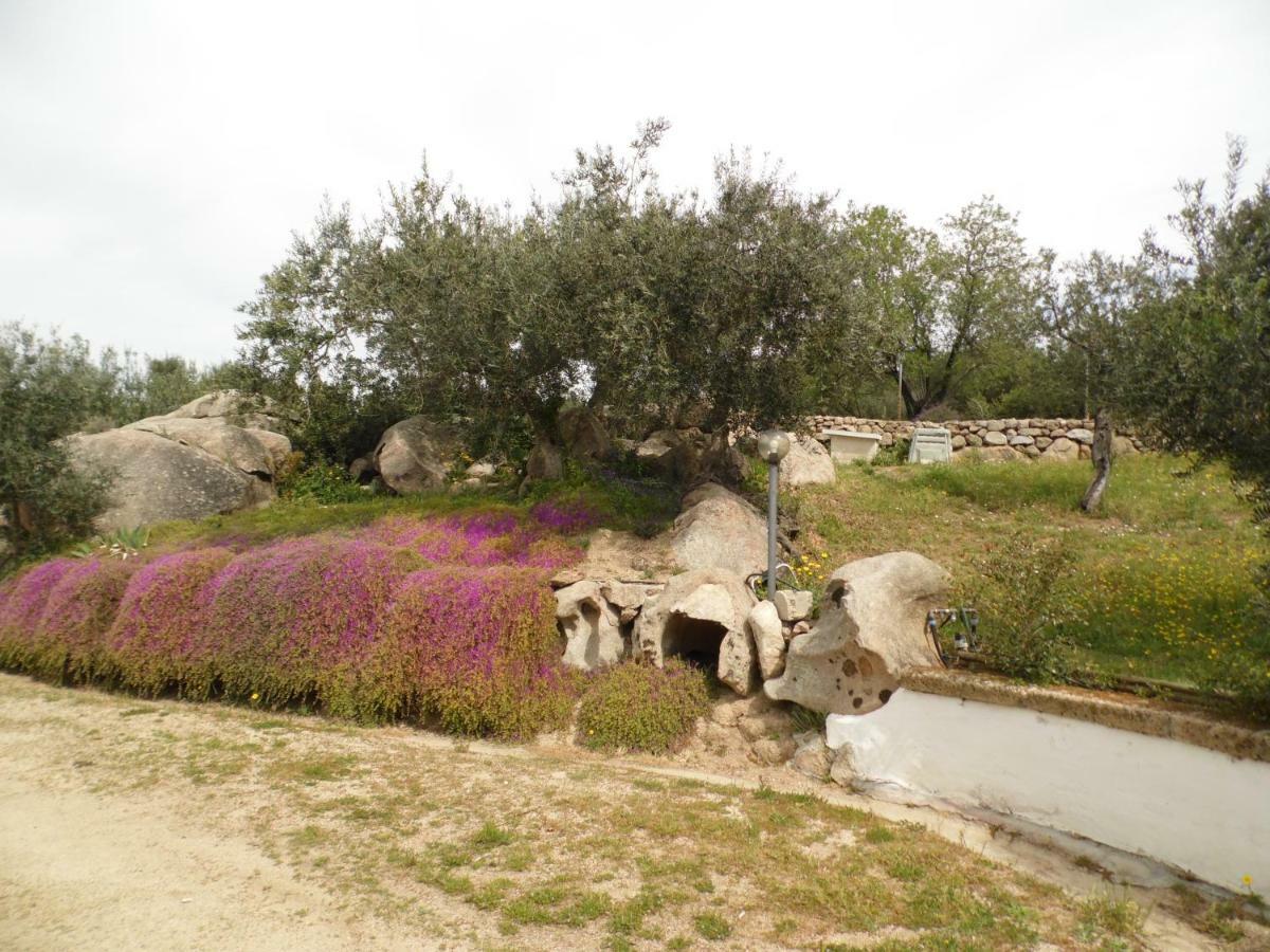 أوليينا Villa L'Oleandro المظهر الخارجي الصورة