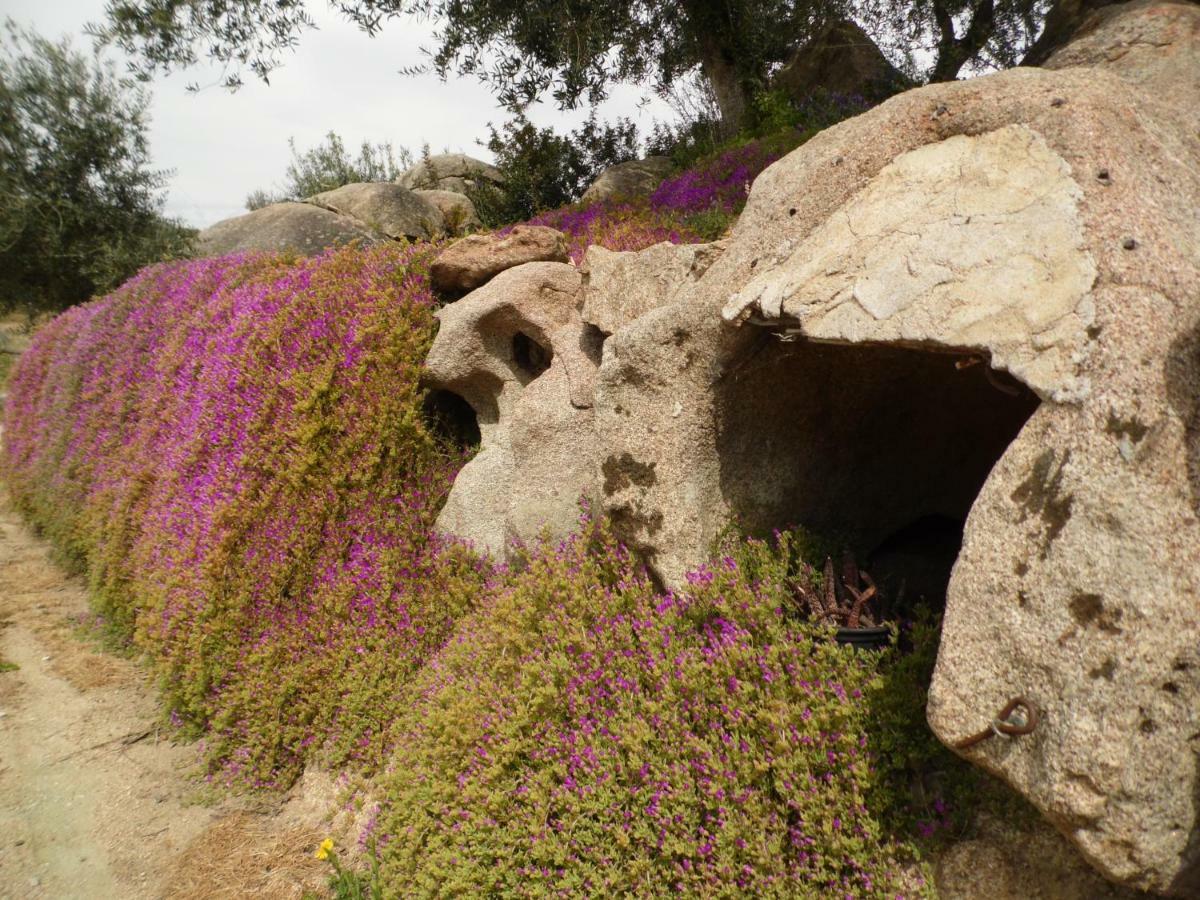 أوليينا Villa L'Oleandro المظهر الخارجي الصورة