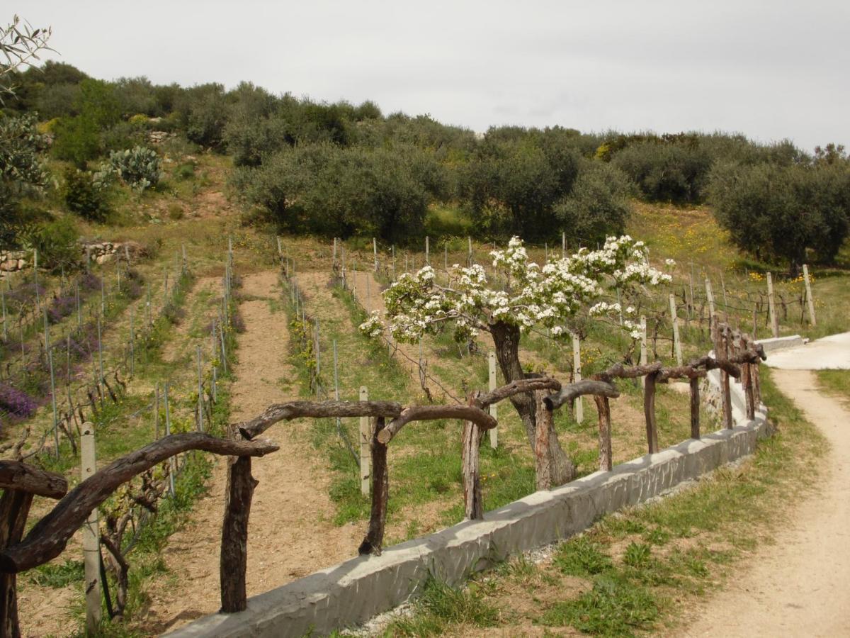 أوليينا Villa L'Oleandro المظهر الخارجي الصورة